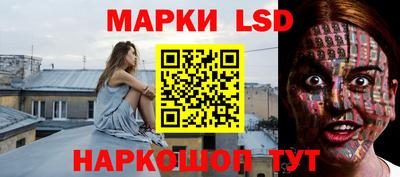 стафф Аргун