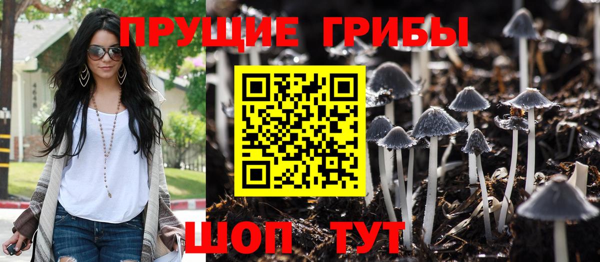 Галлюциногенные грибы ЛСД  Вход с VPN  Аша 