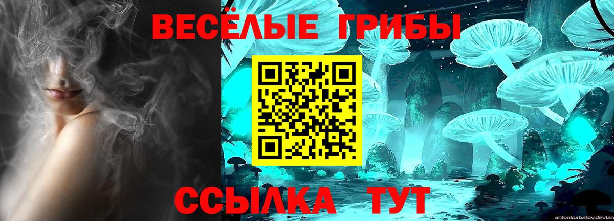 ГАШ Аша
