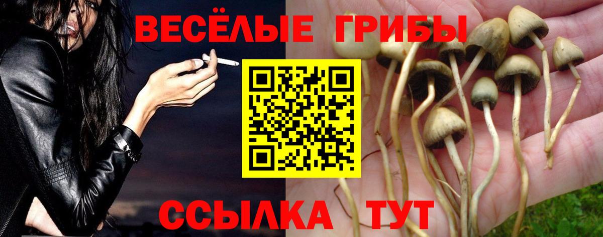 Псилоцибиновые грибы Psilocybine cubensis Аша